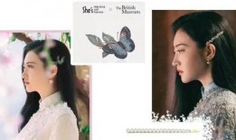 秀景视频在线观看最新