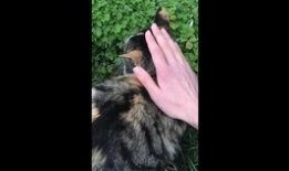 谁爆料杜冥鸦的视频啊,真相背后谁在暗中操作？